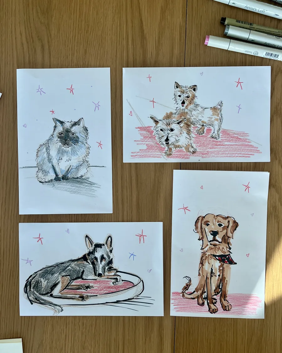 Four pet sketches: a cat, two terriers, a shepherd and a golden retriever
